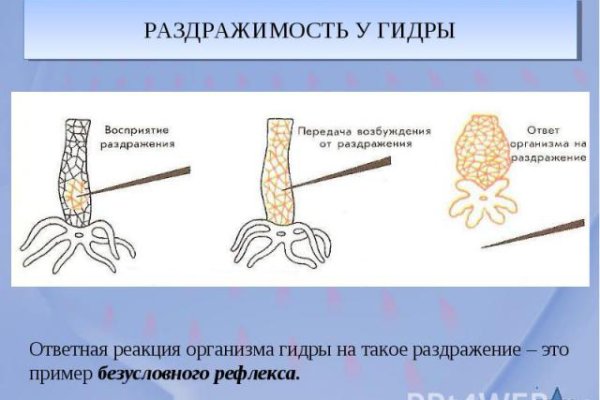 Кракен ты знаешь где покупать